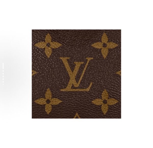 LOUIS VUITTON Speedy Nano Classic Reading Flower Detachable Adjustable Shoulder Straps, Canvas Coated Patchwork Leather Trim, Pillow Bag, Crossbody Tote Bag, Mini Women, Brown - 图片 7